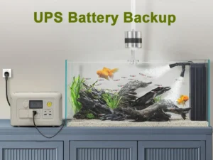 For R600 Portable Power Station with Solar panel 100W , 600W 299Wh LiFePO4 Solar Generator Battery Backup MPPT - Image 5