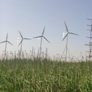 Energia libera da 15kw Generatori di turbine eoliche 96V 120V 220V 380 V Mimino a vento in uscita a tre fasi in vendita in vendita - immagine 2